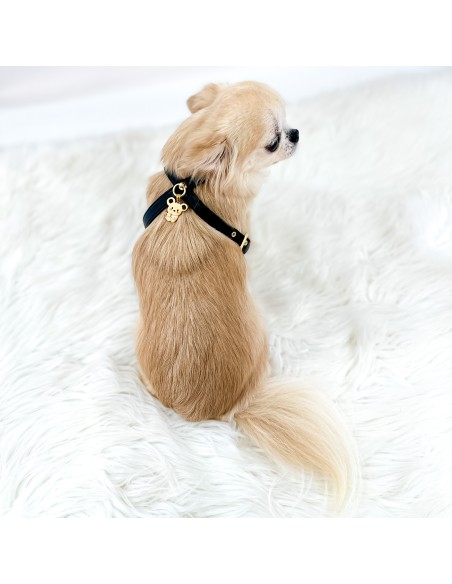 TopoMio Lover Harness Black