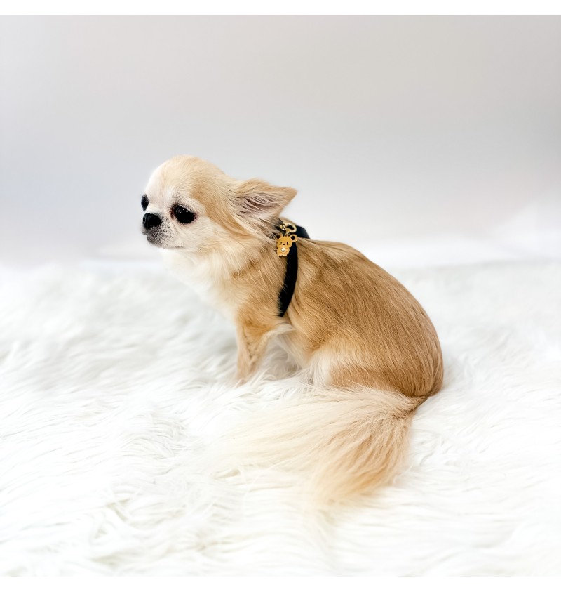 TopoMio Lover Harness Black