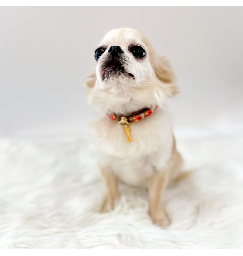 Eyes on Fire Collar Legno