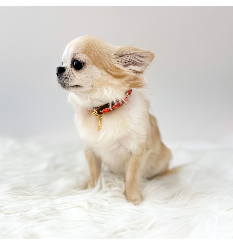 Eyes on Fire Collar Legno