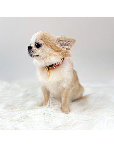 Eyes on Fire Collar Legno