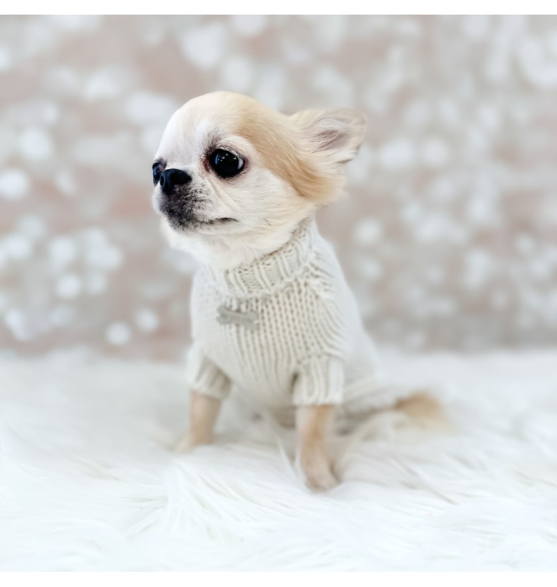 100% Cashmere Delight Pull Panna