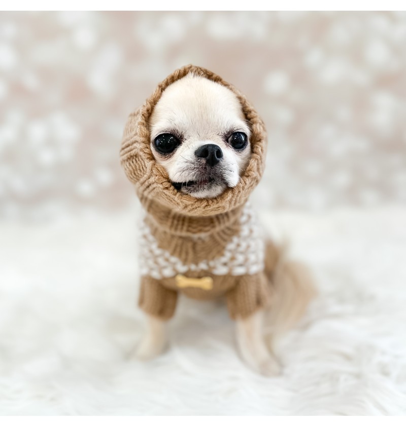 100% Cashmere 2 Love Pull Camel