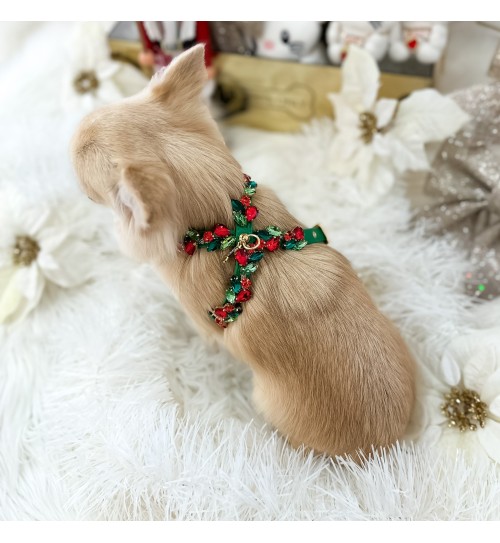 Dazzling Night Harness 2