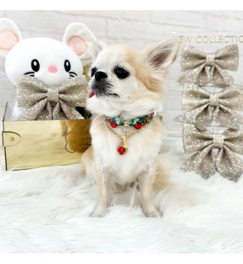 Dazzling Night Collar 2