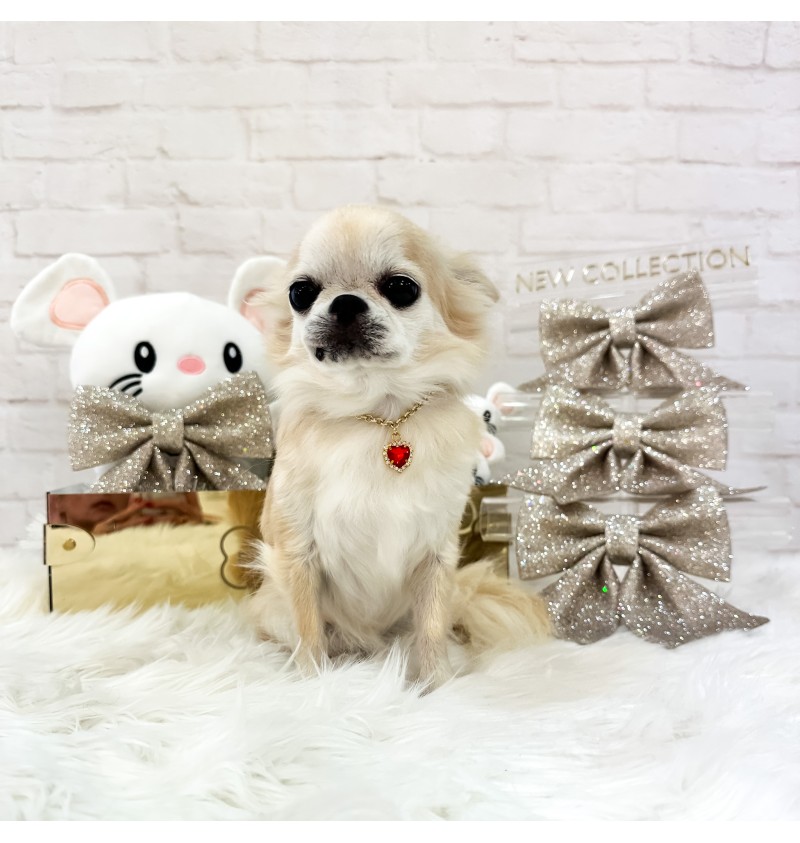 TopoMio Precious Necklace