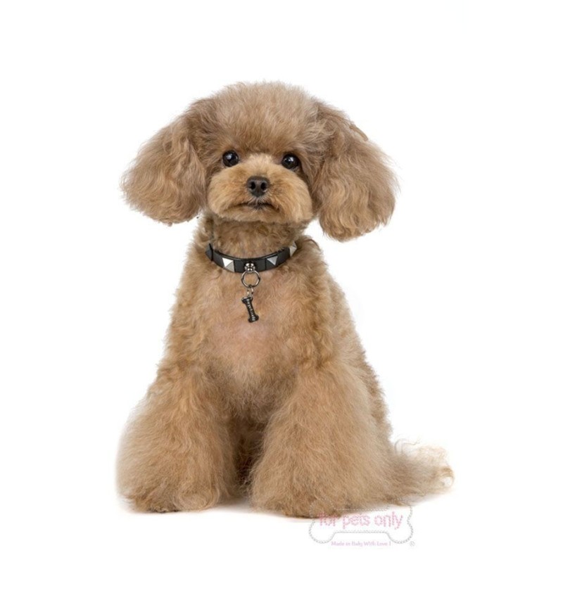 Little Black T-Shirt