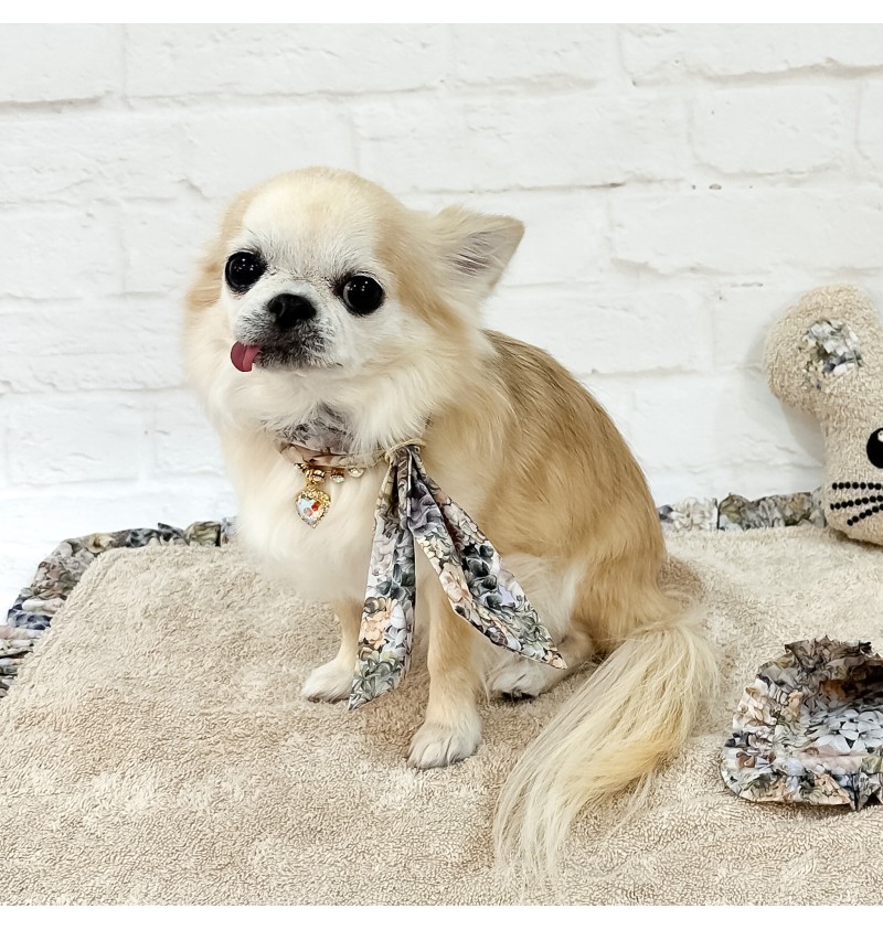 Liberty Twilly For Doggy Greige