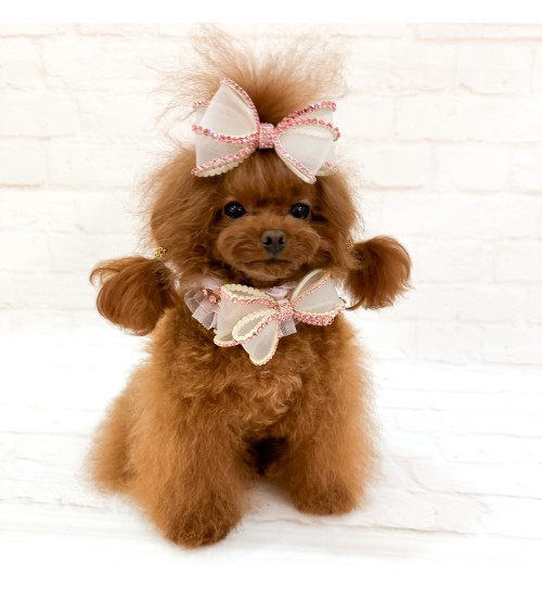 Perfection In A Bow Party Collar Pink 2