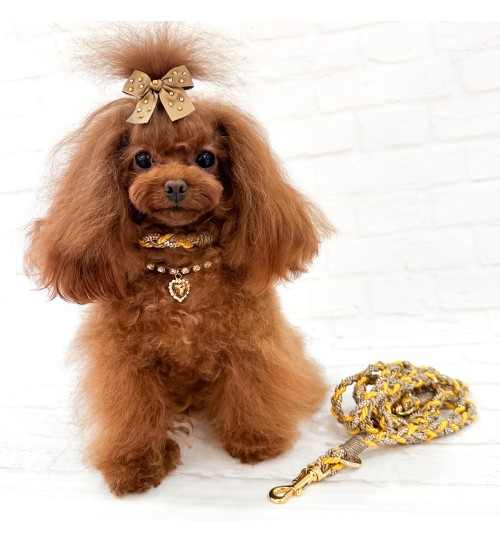 Sunshine Bow Camel/Gold Hairclip 2