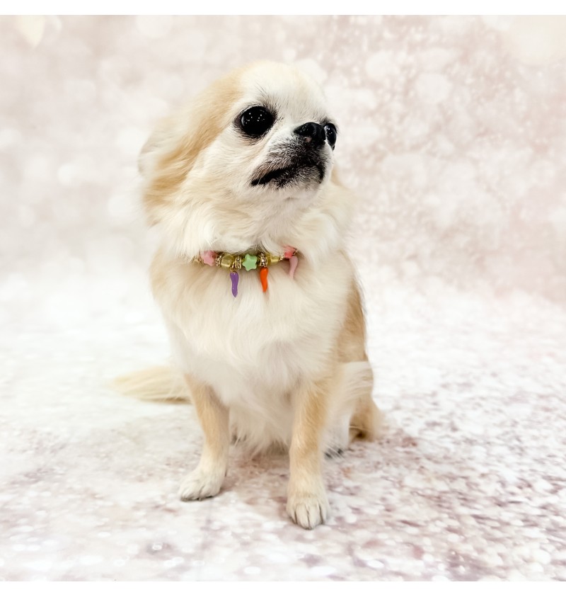 Lucky Babe Collar Greige