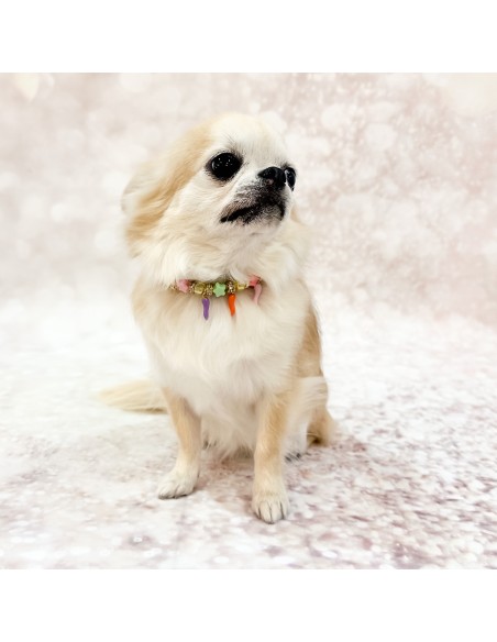 Lucky Babe Collar Greige