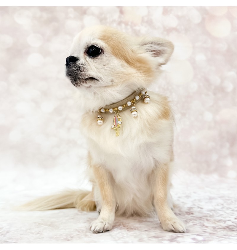 Collar For Dreamers Greige