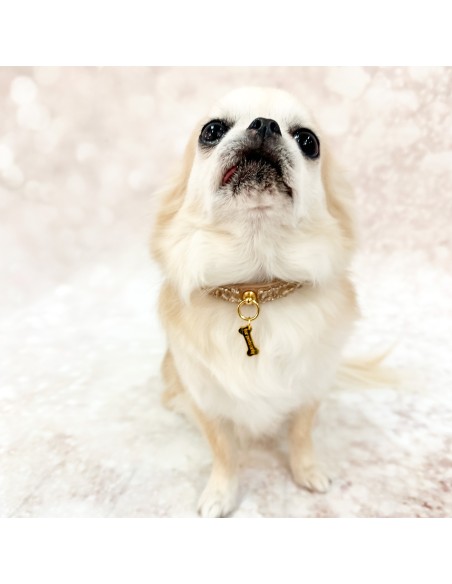 Mini Jewels Collar Skin