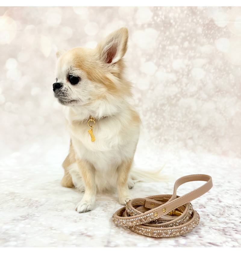 Mini Jewels Collar Skin