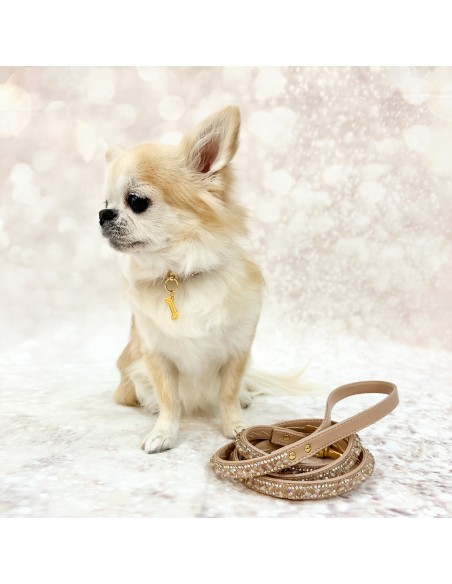 Mini Jewels Collar Skin