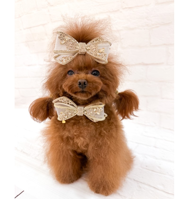 Eternal Champagne Hairclip