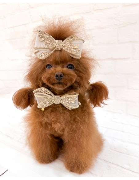 Eternal Champagne Hairclip