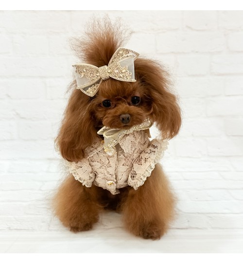 Eternal Champagne Hairclip 2