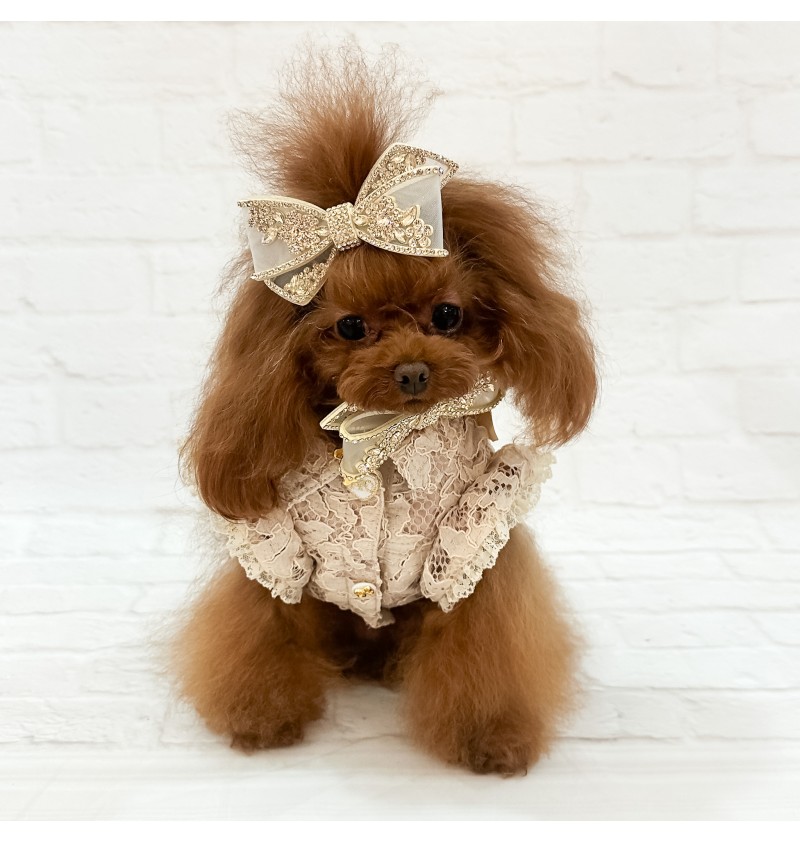 Eternal Champagne Hairclip