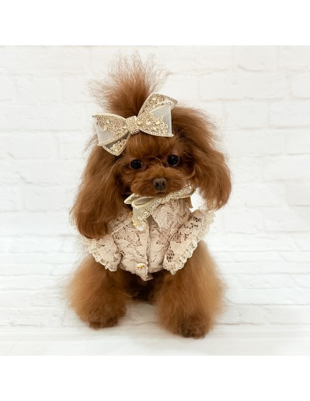 Eternal Champagne Hairclip