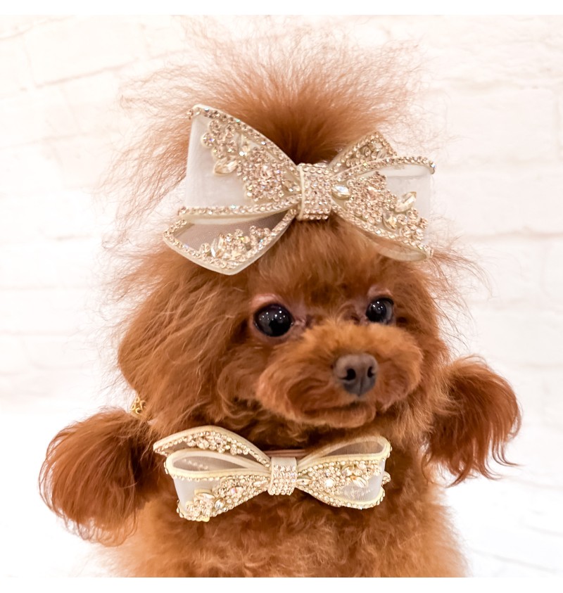 Eternal Champagne Hairclip