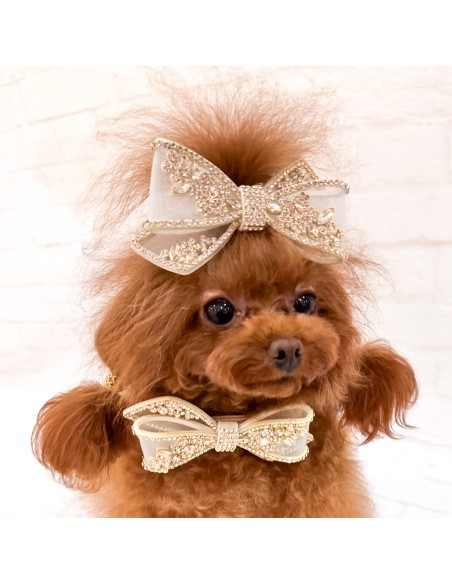 Eternal Champagne Hairclip