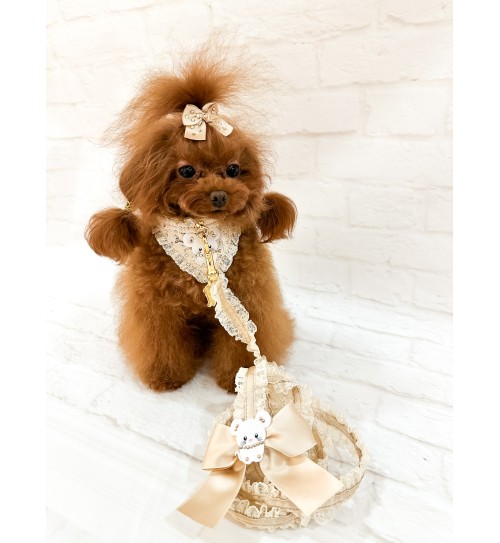 TopoMio In Lace Lingerie Leash Beige 2