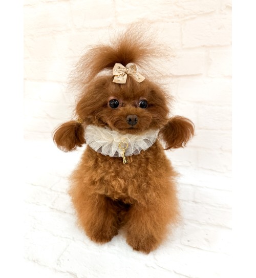 Ballerina Collar Greige 2