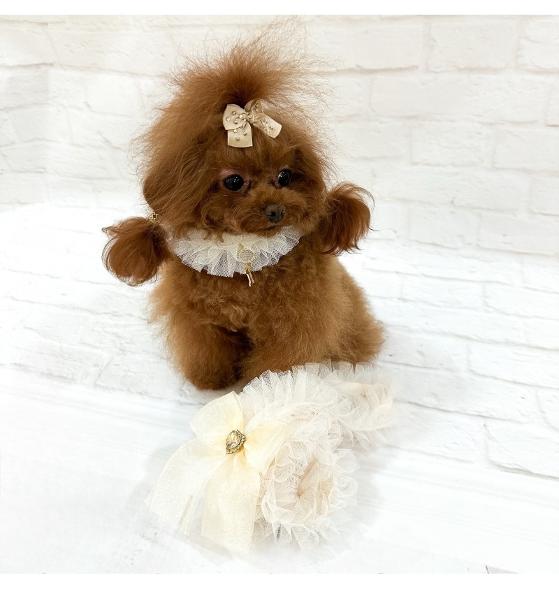 Ballerina Lingerie Leash Cream