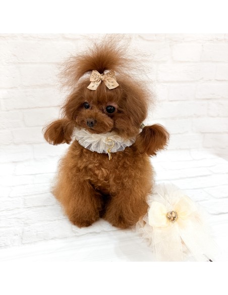 Ballerina Lingerie Leash Cream