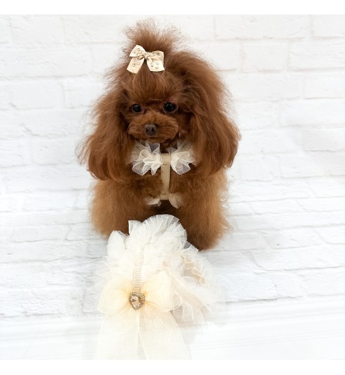 Ballerina Harness Greige 2