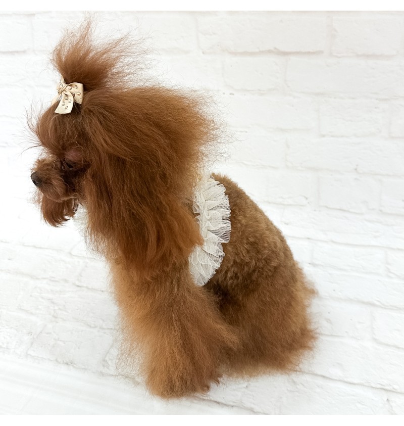 Ballerina Harness Greige