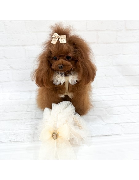 Ballerina Lingerie Leash Cream