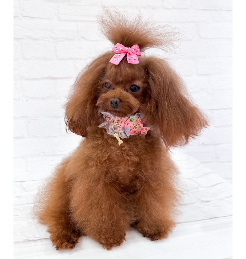 Candy Babe Collar Pink