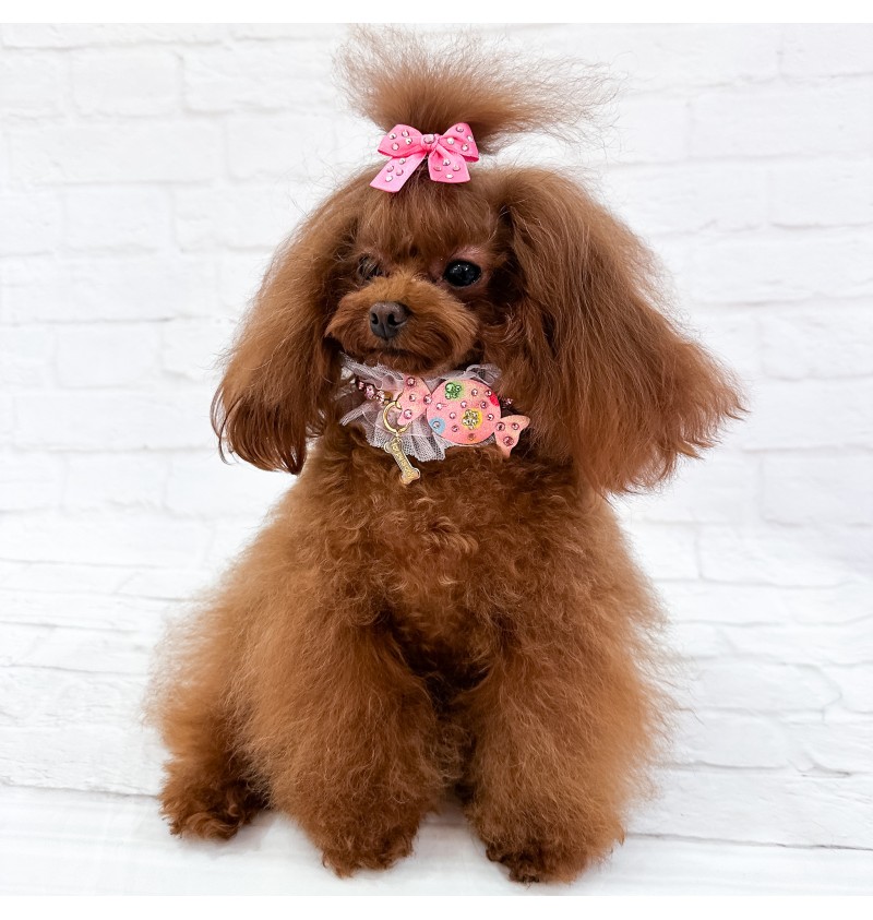 Candy Babe Collar Pink