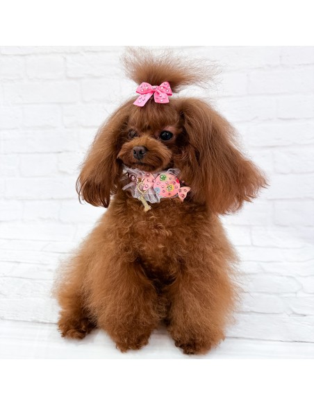 Candy Babe Collar Pink