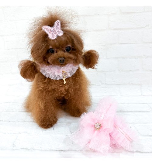 Ballerina Collar Pink 2