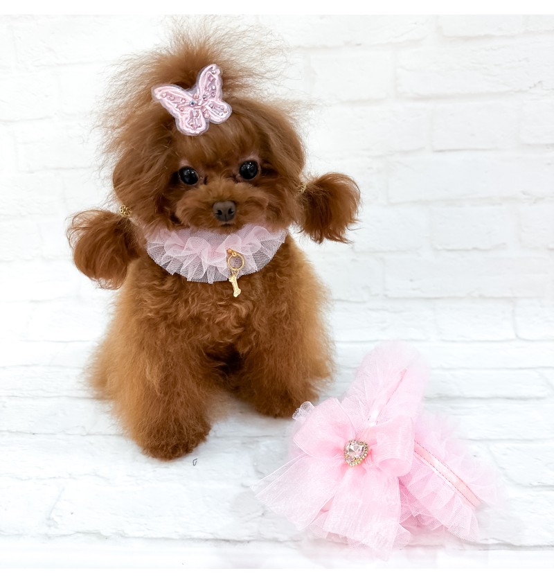 Ballerina Collar Pink