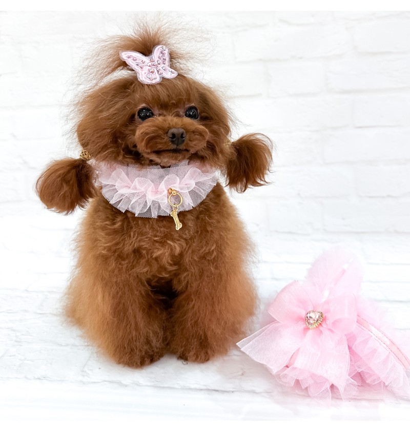 Ballerina Collar Pink