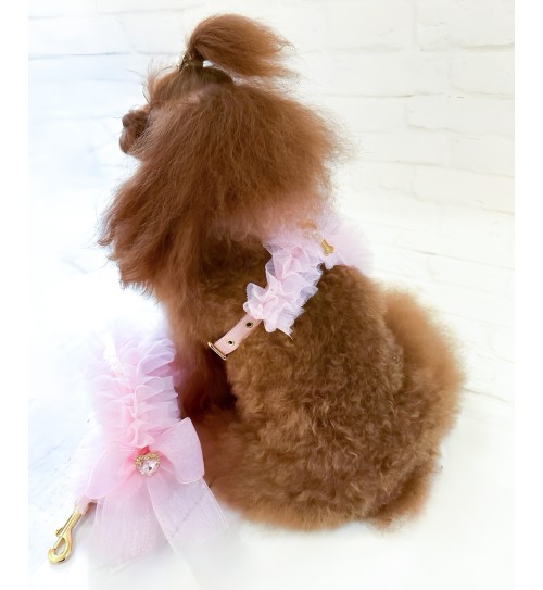 Ballerina Harness Pink 2