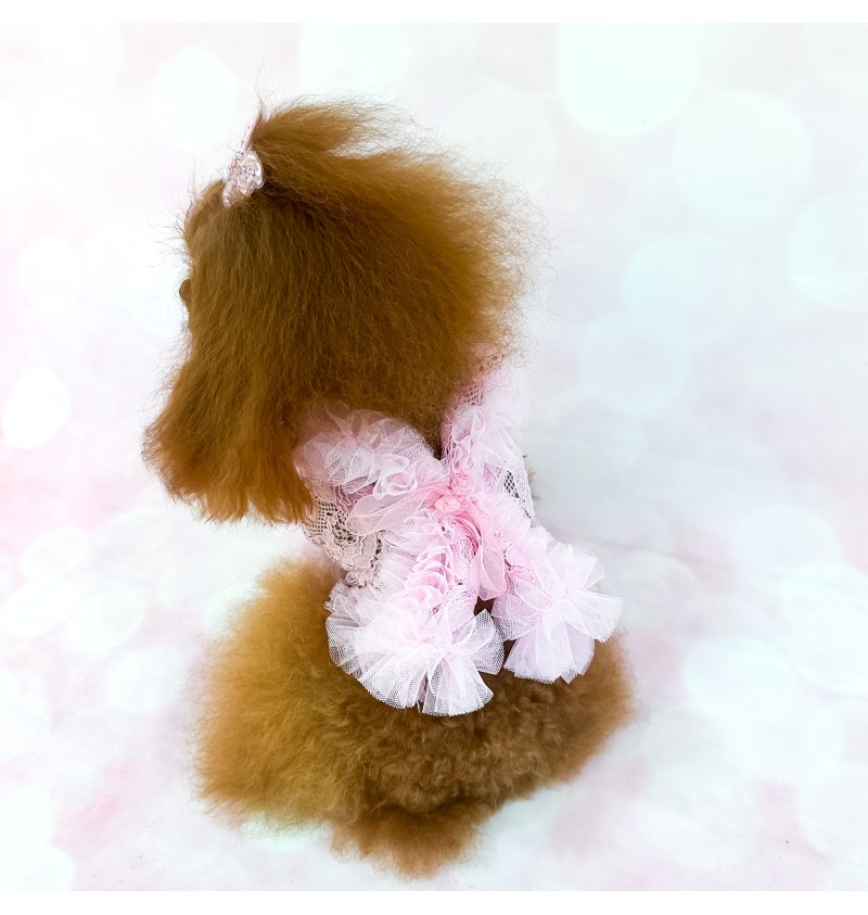 Romance Pink Cardigan