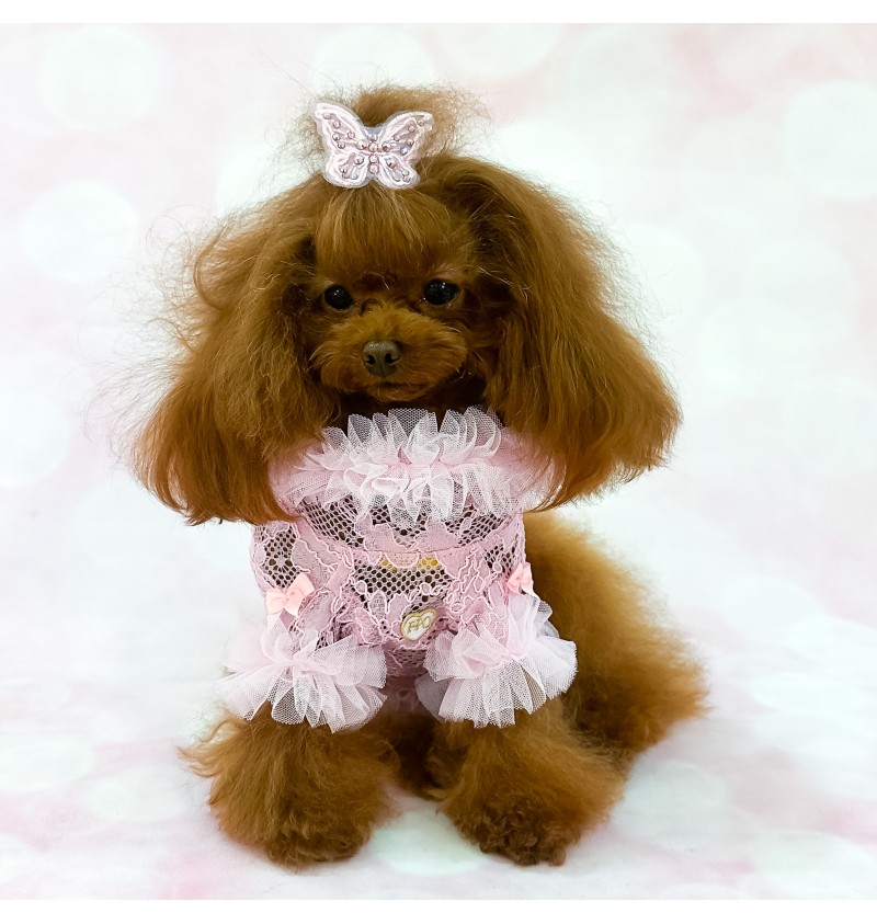 Romance Pink Cardigan