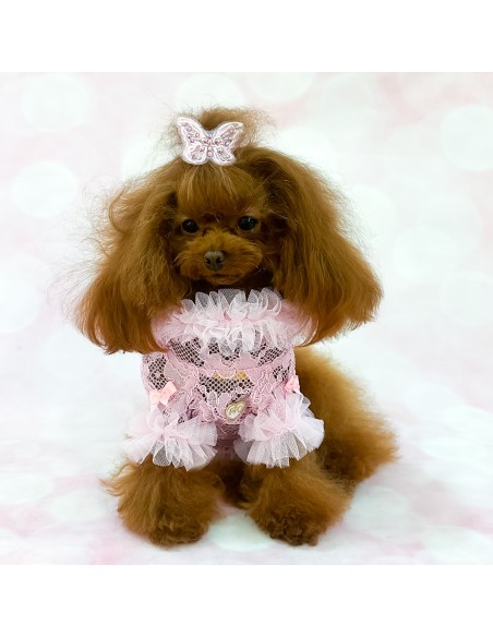 Romance Pink Cardigan