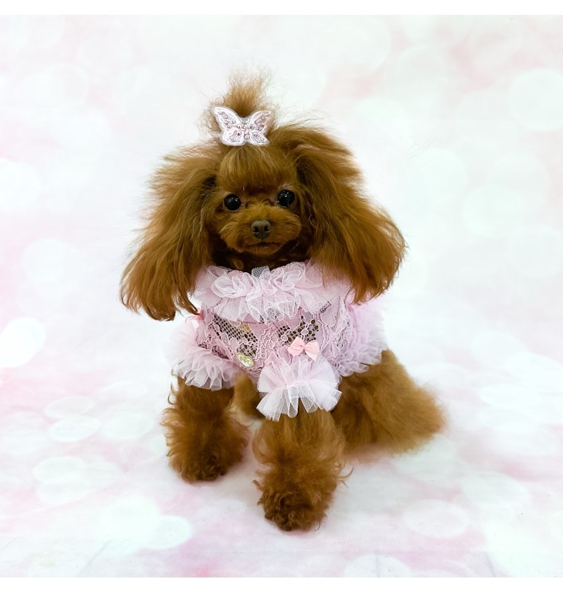 Romance Pink Cardigan