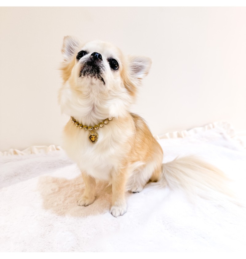 My Heart Is Yours Crystals Bijoux Gold