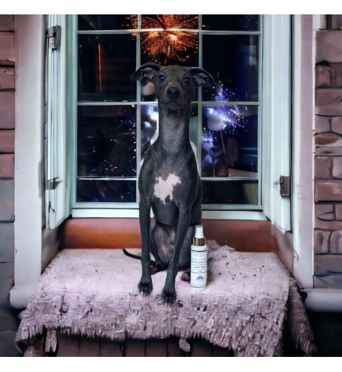 Zen Spray Antistress Lavender 100 ML 2