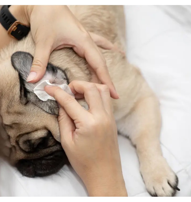 Eye Envy Fresh Ear Cleaning Wipes 60 pcs