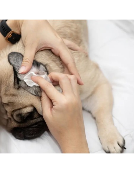 Eye Envy Fresh Ear Cleaning Wipes 60 pcs