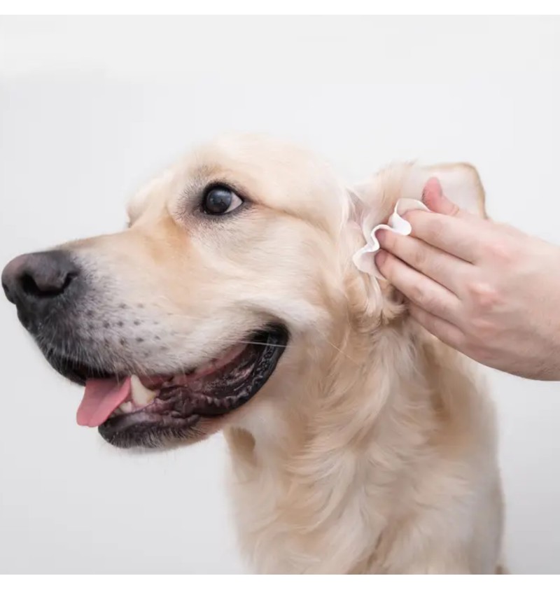 Eye Envy Fresh Ear Cleaning Wipes 60 pcs